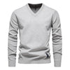 Adler – Elegant Men’s V-Neck Sweater